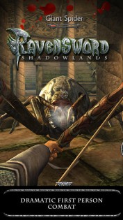 Ravensword: Shadowlands. Скриншот 3