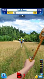 Archer champion 2.3.8. Скриншот 2