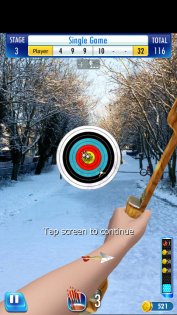 Archer champion 2.3.8. Скриншот 3