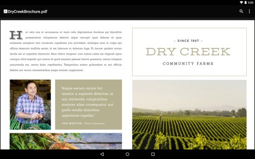 Google PDF Viewer 2.19. Скриншот 5