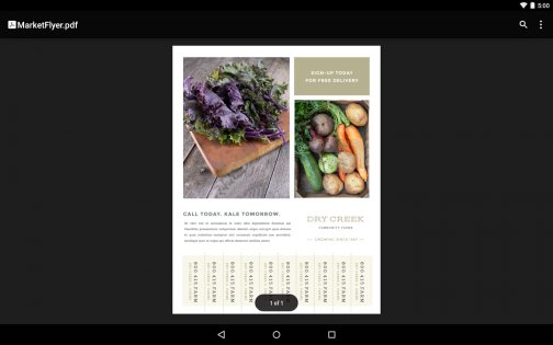Google PDF Viewer 2.19. Скриншот 8