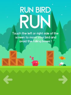 Run Bird Run 1.3.0. Скриншот 7