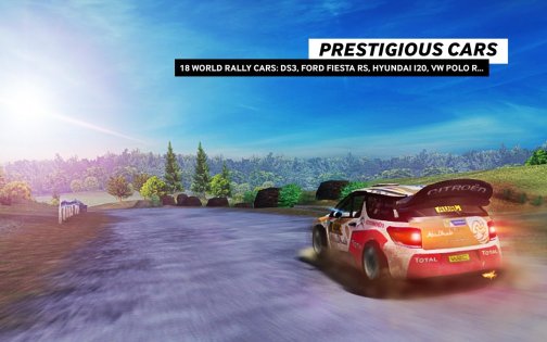 WRC The Official Game 1.0.8. Скриншот 3