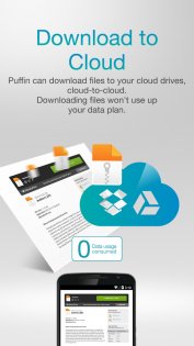 Puffin Web Browser 10.5.0.60303. Скриншот 8