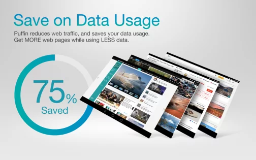 Puffin Web Browser 10.5.0.60303. Скриншот 13