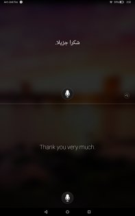 Переводчик Microsoft 25.3.1.37. Скриншот 12