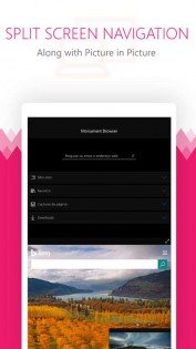 Monument Browser 2.2.2603.0. Скриншот 1