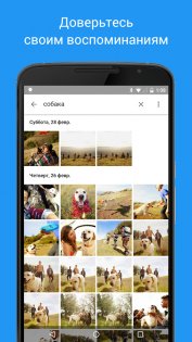 Google Фото 7.30.0.761213354. Скриншот 1