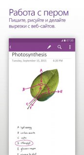 OneNote 16.0.18925.20004. Скриншот 2