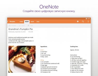 OneNote 16.0.17928.20098. Скриншот 8