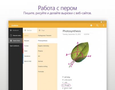 OneNote 16.0.18925.20004. Скриншот 9