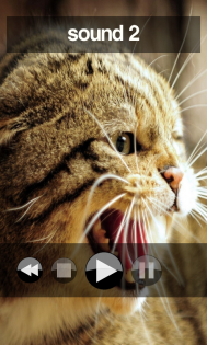 Angering Your Cat 1.2.0. Скриншот 2