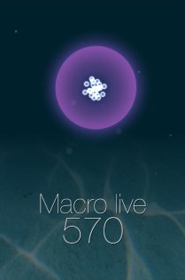 Macro live 1.1. Скриншот 1