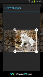 WallpaperCASA 6.10.0. Скриншот 4