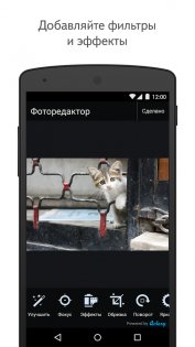 Яндекс Диск 6.19.0. Скриншот 7