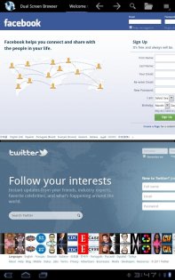 Dual Screen Browser 2.1. Скриншот 1
