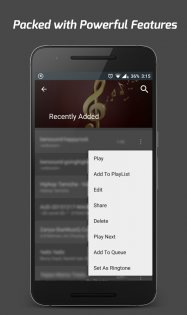 Pi Music Player 3.1.6.1. Скриншот 6