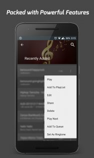 Pi Music Player 3.1.6.3. Скриншот 6