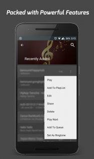 Pi Music Player 3.2.0.0. Скриншот 6