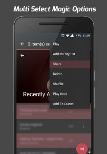 Pi Music Player 3.1.6.3. Скриншот 7