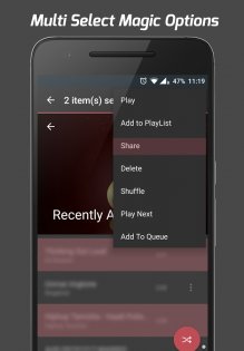 Pi Music Player 3.2.0.0. Скриншот 7