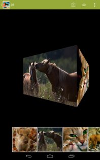 Gallery Plus – скрыть фотографии 2.3.24. Скриншот 10