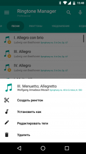 Ringtone Manager 1.4.2. Скриншот 3