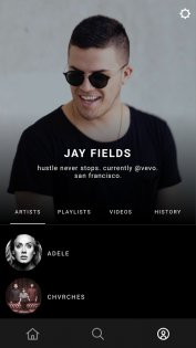 Vevo 5.4.1.0. Скриншот 5