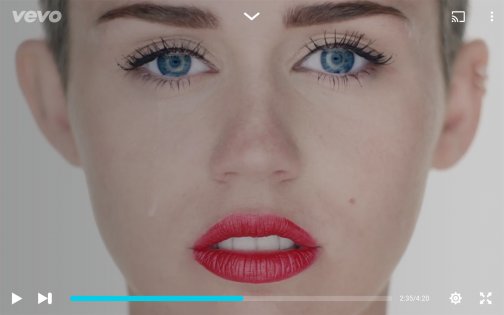 Vevo 5.4.1.0. Скриншот 8