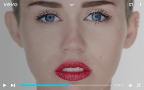 Vevo 5.4.1.0.</p><p> Скриншот 8