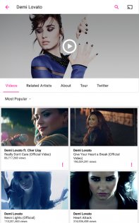 Vevo 5.4.1.0.</p><p> Скриншот 12