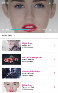 Vevo 5.4.1.0. Скриншот 13
