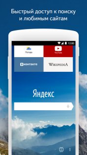 Яндекс Браузер Бета 24.1.8.84. Скриншот 1