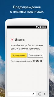 Яндекс Браузер Бета 24.1.8.84. Скриншот 6