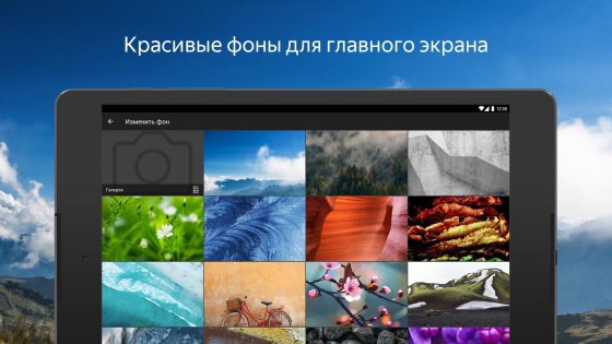 Яндекс Браузер Бета 24.1.8.84. Скриншот 10