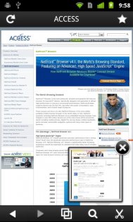 NetFront Life Browser 2.3.1. Скриншот 2