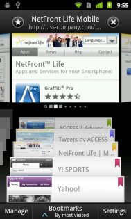 NetFront Life Browser 2.3.1. Скриншот 4