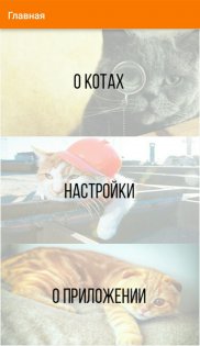 Карманный Кот 4.0. Скриншот 2