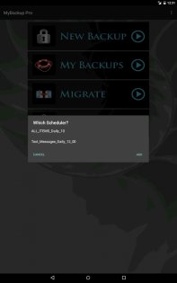 MyBackup 4.8.4. Скриншот 12