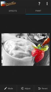 Smoothie Photo Effects Lite 1.13. Скриншот 2