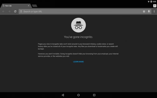 Chrome Canary 140.0.7281.0. Скриншот 8