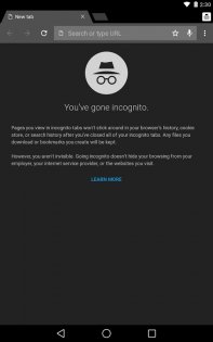 Chrome Canary 140.0.7281.0. Скриншот 13