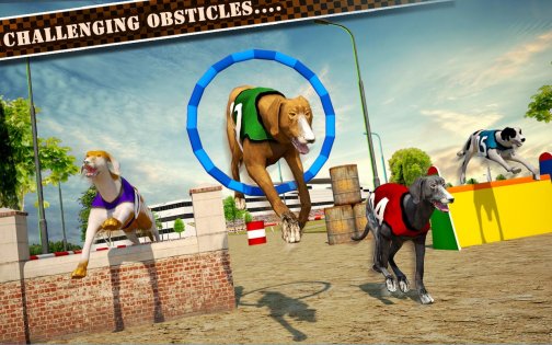Dog Race & Stunts 2016 1.4. Скриншот 6