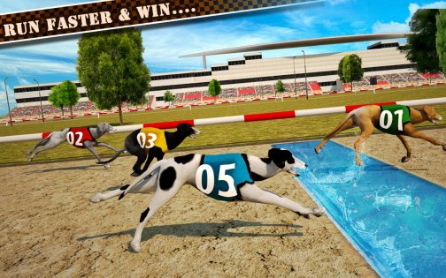 Dog Race & Stunts 2016 1.4. Скриншот 8