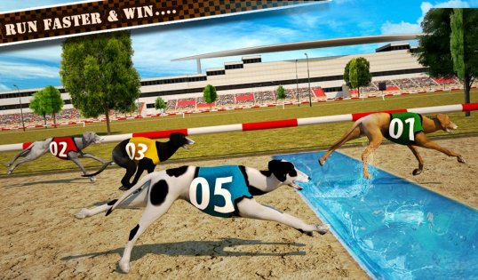 Dog Race & Stunts 2016 1.4. Скриншот 12