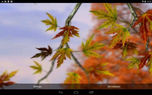 Autumn Leaves in HD Gyro 3D 1.4. Скриншот 4