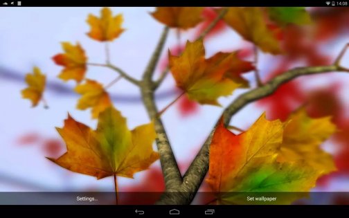 Autumn Leaves in HD Gyro 3D 1.4. Скриншот 5