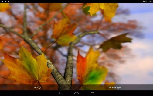 Autumn Leaves in HD Gyro 3D 1.4. Скриншот 6