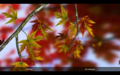 Autumn Leaves in HD Gyro 3D 1.4. Скриншот 7
