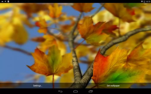 Autumn Leaves in HD Gyro 3D 1.4. Скриншот 8